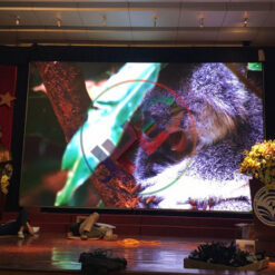 màn hình led p2.5 trong nhà hailocvn