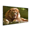 Màn hình ghép Thổ Nhĩ Kỳ 55 inch Video Wall Displays Ultra Narrow Bezel