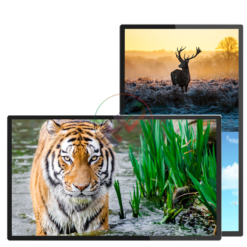 Màn hình quảng cáo Châu Âu 32 inch Smart Display