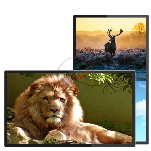 Màn hình quảng cáo Châu Âu 49 inch Smart Display