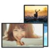 Màn hình quảng cáo Châu Âu 86 inch UHD Display