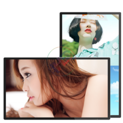 Màn hình quảng cáo Châu Âu 65 inch Ultra HD